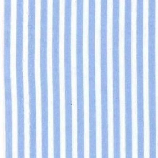 Blue stripe cotton poplin