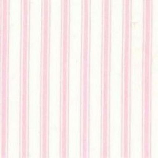 Pink stripe cotton poplin