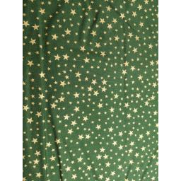 Green and gold stars cotton poplin.jpg
