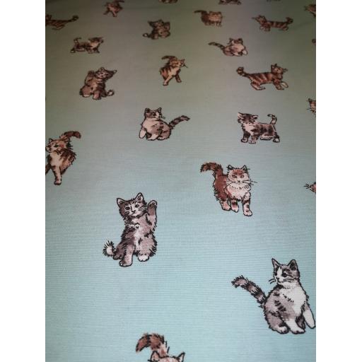 Cute cats, canvas by Chatham Glyn