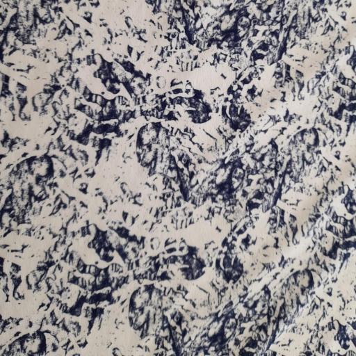  White and navy print jersey print by Montreux fabrics. 
